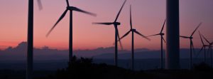 wind farm at dusk