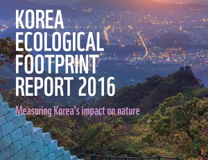 Korea report cover