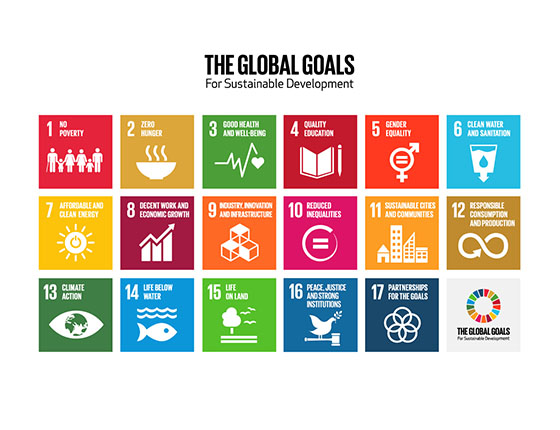 sustainable development goals graphic