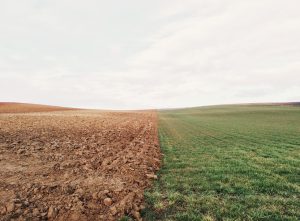 field of brown and green showing climate change