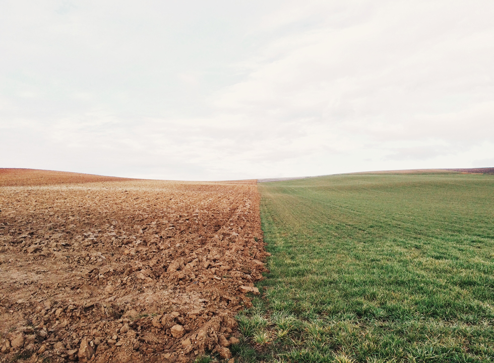 field of brown and green showing climate change