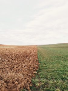 field of brown and green showing climate change