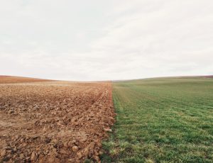 climate change field