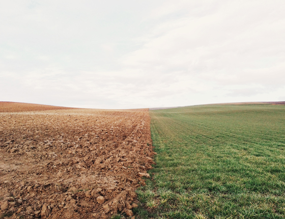 climate change field