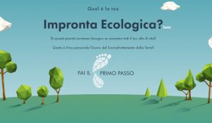 Italian Footprint Calculator