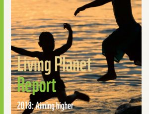 cover of 2018 Living Planet report - two people running near body of water