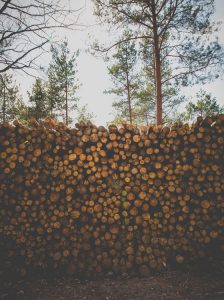 pile of cut logs