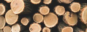 stack of logs