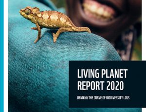 Living Planet Report 2020 cover