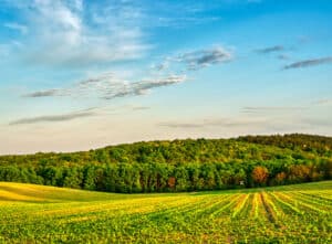 How much nature does humanity use?
