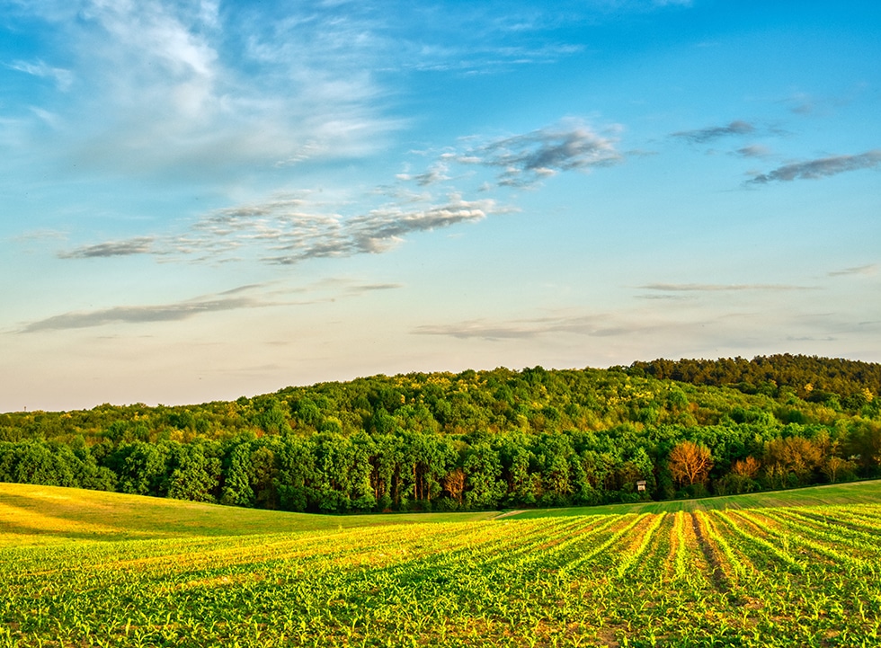 How much nature does humanity use?