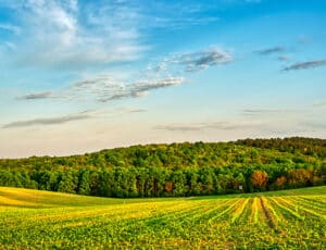 How much nature does humanity use?