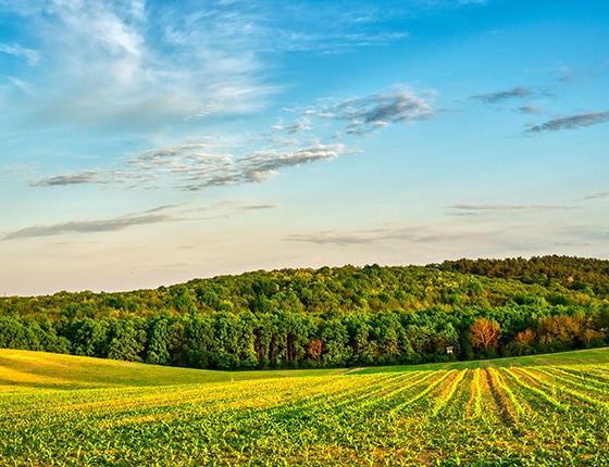 How much nature does humanity use?