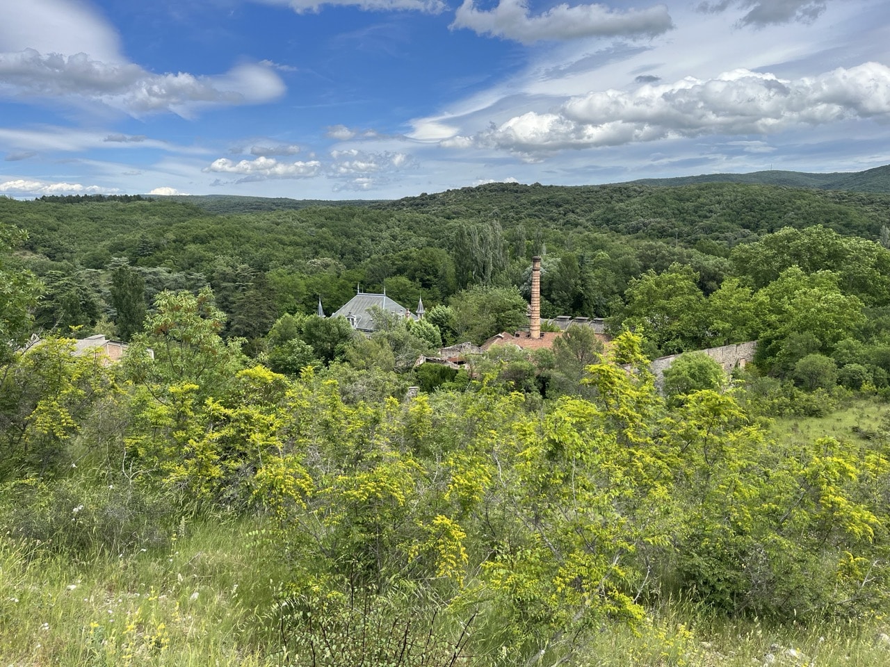 Factory in Forest