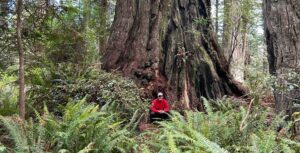 Mathis in Redwood forest
